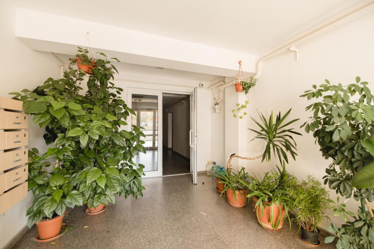 Oltului Apartment Braszów Zewnętrze zdjęcie